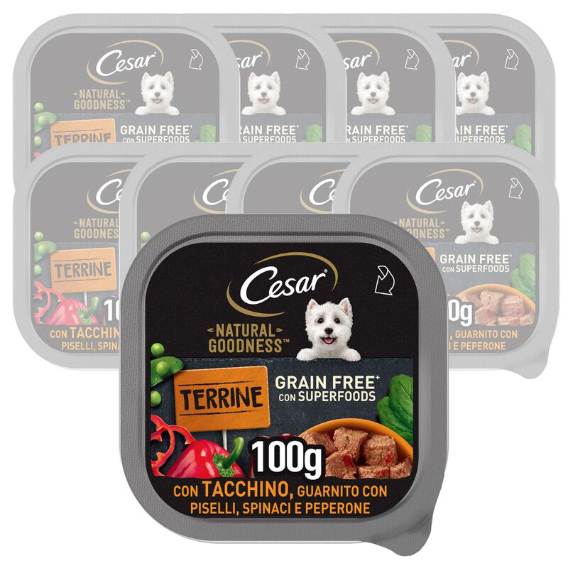 Cesar Dog Natural Goodness Terrine con Tacchino 100 gr