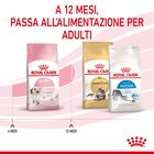 Royal Canin Cat Kitten 2 kg