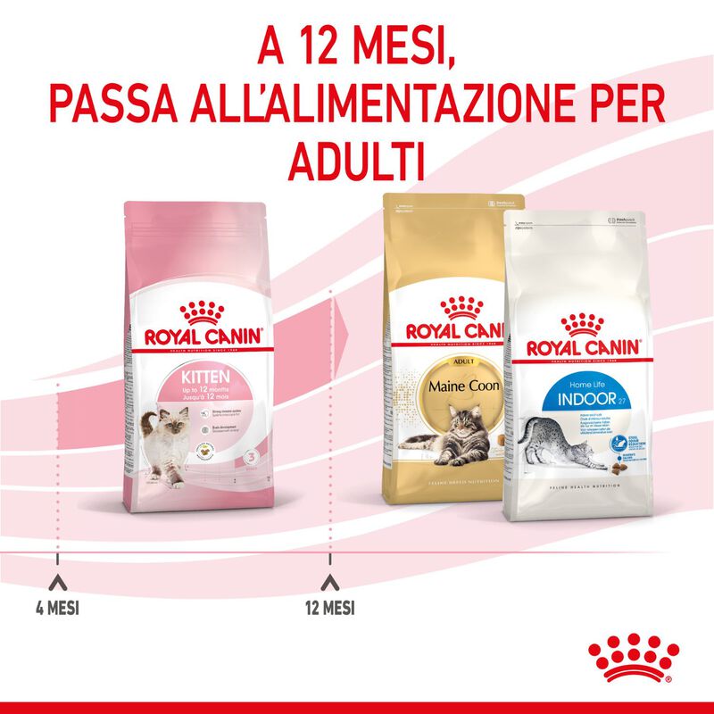 Royal Canin Cat Kitten 2 kg