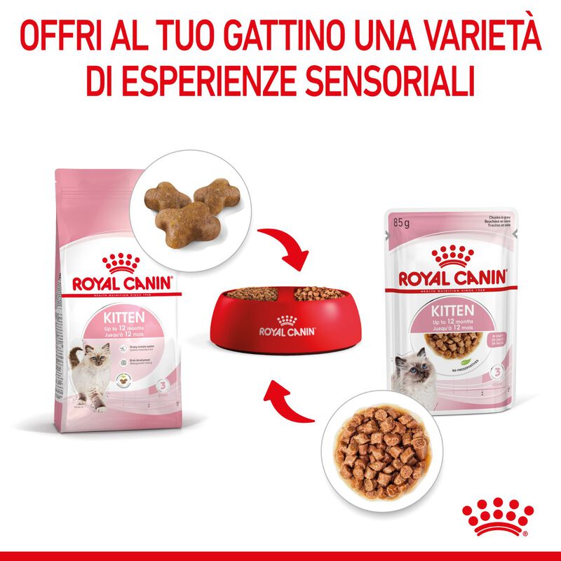 Royal Canin Kitten in Salsa 85 gr