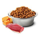 N&D Farmina Dog Adult Mini Duck & Cantaloupe Melon 2kg