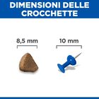 Hill's Sience Plan Kitten al Salmone 1,5 kg