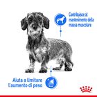 Royal Canin Dog Mini Adult e Senior Light Weight Care 1 kg - Scad. Gennaio 26