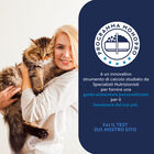 Monopro Cat Adult Salmone 350gr