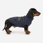 Camon Maglioncino per cani Blue patch tg. 40 Blu