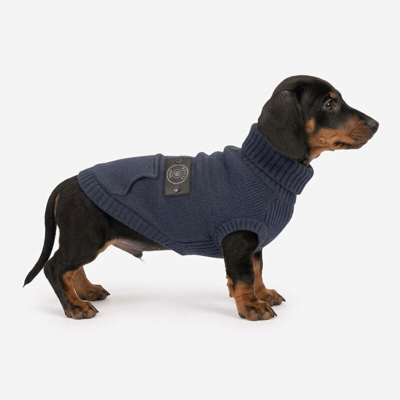 Camon Maglioncino per cani Blue patch tg. 40 Blu