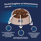Monopro Dog Adult Medium&Large Grain Free Anatra 12 kg