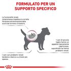 Royal Canin Veterinary Diet Dog Small Renal 1,5 kg