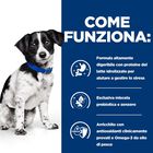 Hill's Prescription Diet Dog i/d Stress Digestive Care Spezzatino 156 gr