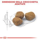 Royal Canin Cat Senior Indoor 7+ 400 gr