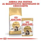 Royal Canin Cat Adult Maine Coon 2 kg
