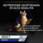 Purina Pro Plan Indoor Cat Adult con Salmone in Salsa 85 gr