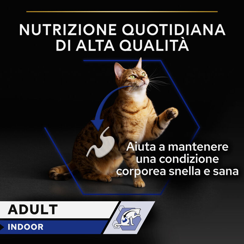 Purina Pro Plan Indoor Cat Adult con Salmone in Salsa 85 gr