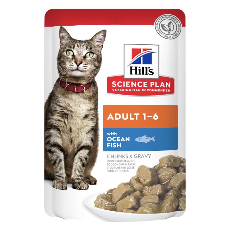 Hill's Science Plan Cat Adult con Pesce Oceanico Bustina 85 gr