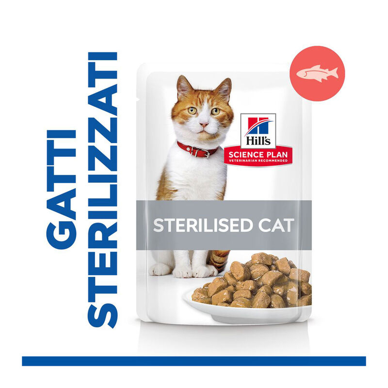 Hill's Science Plan Cat Adult Sterilised con Salmone 85 gr