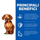 Hill's Science Plan Perfect Weight Dog Adult Small & Mini Mousse tacchino 200 gr