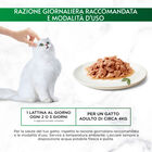 Gourmet Nature's Creations Trancetti di Tonnetto in Salsa 70 gr