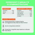 Schesir Cat Tonnetto con Zucca in brodo 70 gr