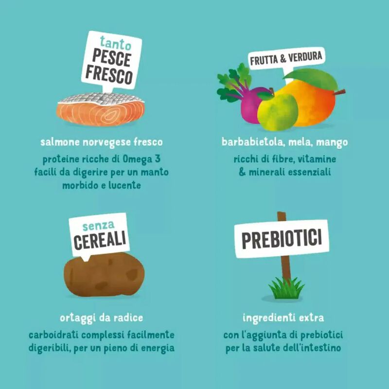 Edgard & Cooper Dog Adult Salmone 2,5 kg