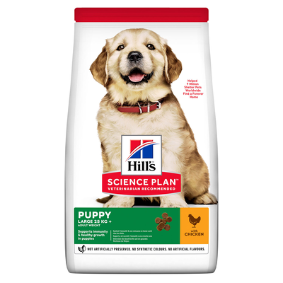 Hill's Science Plan Dog Puppy Large al Pollo 14,5 kg