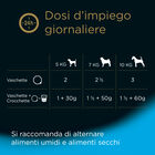 Cesar Dog Senior Selezione Pollo e Riso e Manzo e Riso in Gelatina 4x100 gr