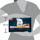 Gourmet Perle Cat Adult Filettini in Salsa con Manzo Pollo Agnello e Anatra 4 x 85 gr