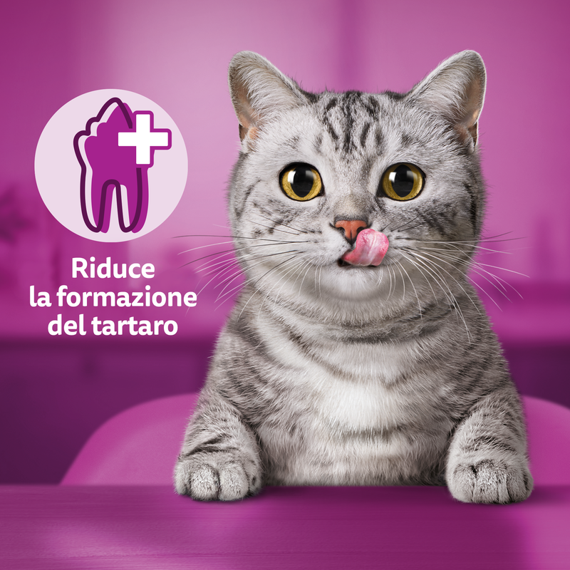 Whiskas Dentabites Snack Pollo 40gr