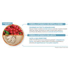 Natural Trainer Cat Exigent con Pesce Azzurro 300 gr