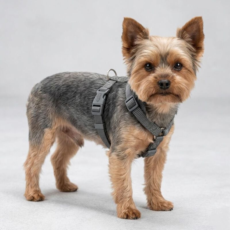 Trixie Premium Pettorina ad H Color Vinaccia Tg XS-S