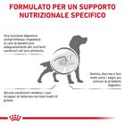 Royal Canin Veterinary Diet Dog Adult Gastrointestinal Low Fat 200 gr
