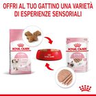 Royal Canin Cat Kitten Loaf  85 gr