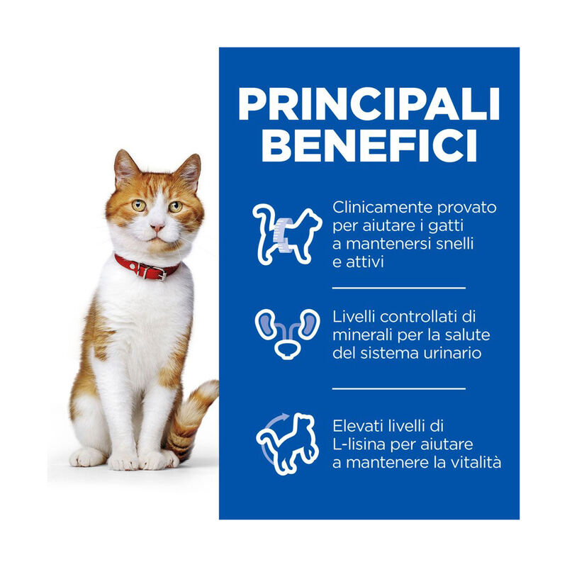 Hill's Science Plan Cat Adult Sterilised con Salmone 85 gr