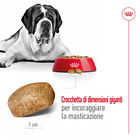 Royal Canin Dog Giant Adult 15 kg