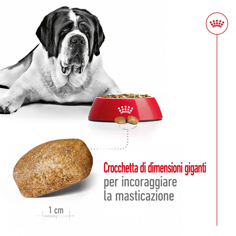 Royal Canin Dog Giant Adult 15 kg