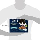 Felix Sfilaccetti Rustici Fish Selection Salmone, Tonno, Merluzzo e Platessa 12 x 80 gr