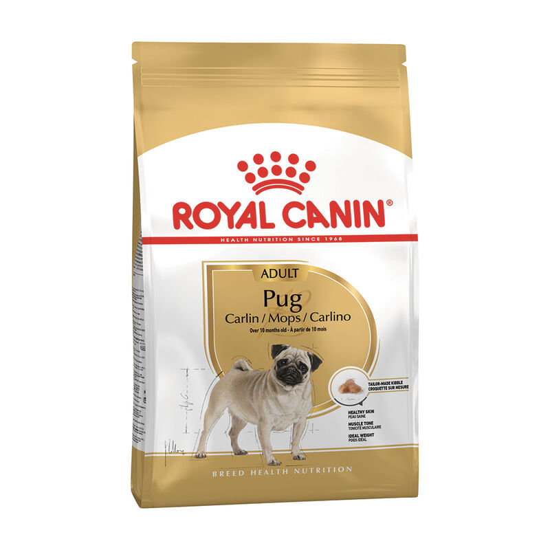 Royal Canin Dog Adult e Senior Carlino 1,5 kg