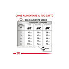 Royal Canin Veterinary Diet Cat Adult Gastrointestinal Hairball 400gr - Scad. Novembre 25