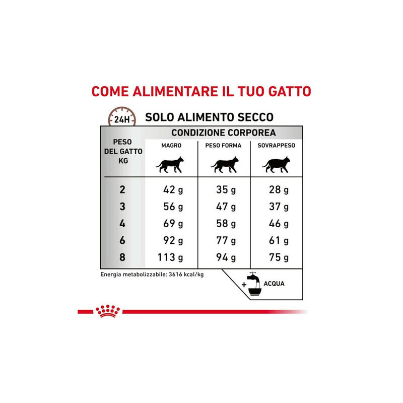 Royal Canin Veterinary Diet Cat Adult Gastrointestinal Hairball 400gr - Scad. Novembre 25