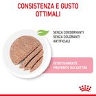 Royal Canin Cat Kitten Loaf  85 gr