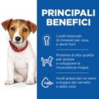Hill's Science Plan Dog Small & Mini Adult con Agnello e Riso 1,5 kg