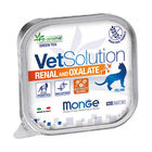 Monge VetSolution Cat Renal and Oxalate 100 gr