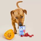 Wow Dog Adult Agnello con Zucca e Ortica 800 gr