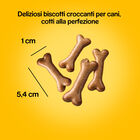 Pedigree Dog Adult Bisckrock Biscotti 500 gr