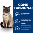 Hill's Prescription Diet Cat z/d 156 gr.