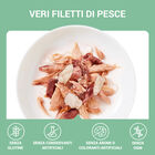 Schesir Cat Jelly Tonnetto con Ricciola 70g