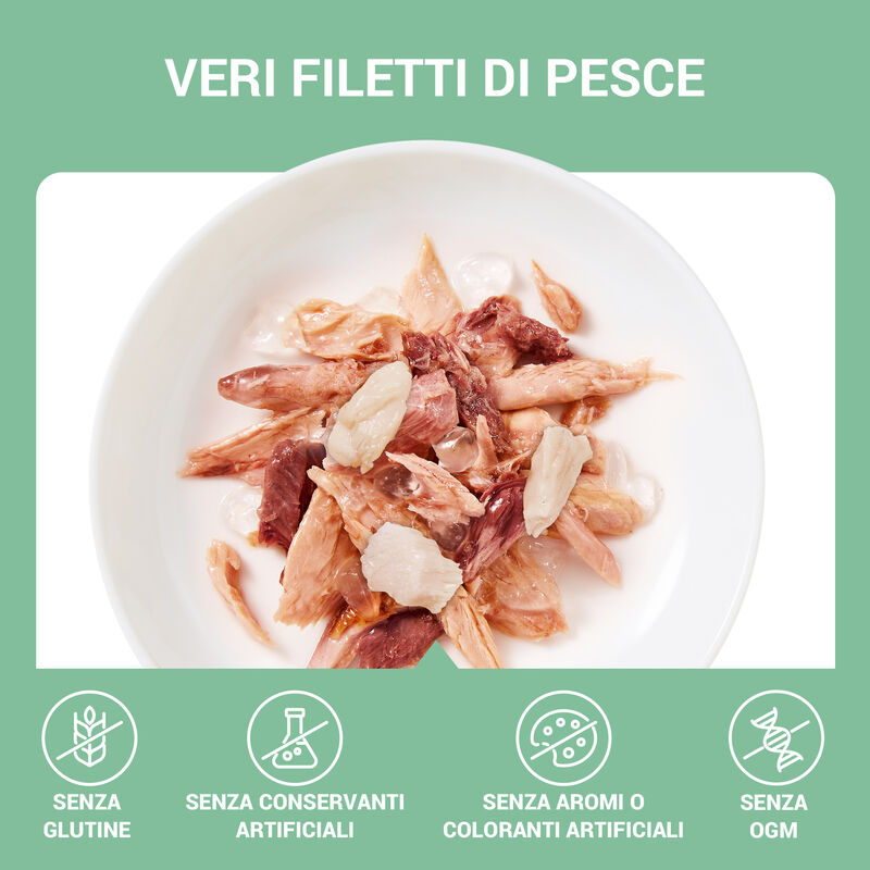 Schesir Cat Jelly Tonnetto con Ricciola 70g
