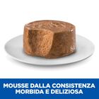 Hill's Science Plan Perfect Weight Dog Adult Small & Mini Mousse tacchino 200 gr