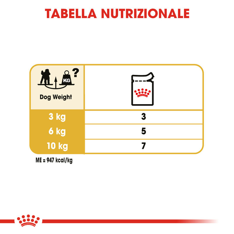 Royal Canin Dog Adult e Senior Barboncino 85 gr