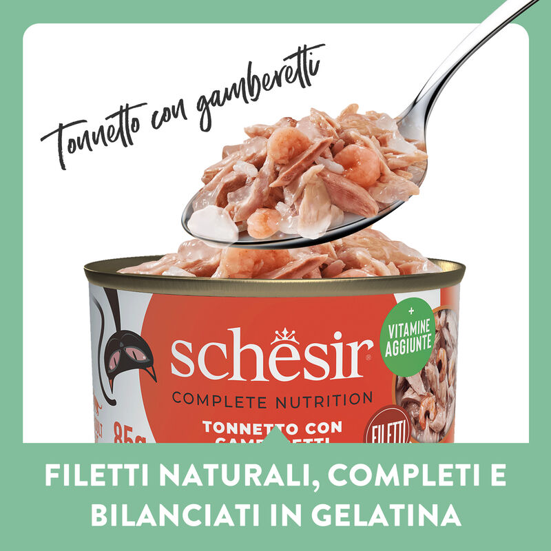 Schesir Cat Adult Tonnetto con gamberetti jelly 85g