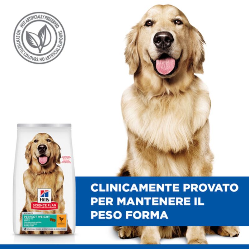 Hill's Science Plan Dog Perfect Weight Large Breed Adult con Pollo 12 kg